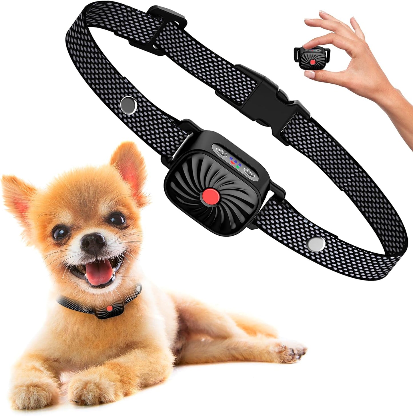 Nina | Collier Anti-Aboiement – Calme Assuré pour Petits Chiens